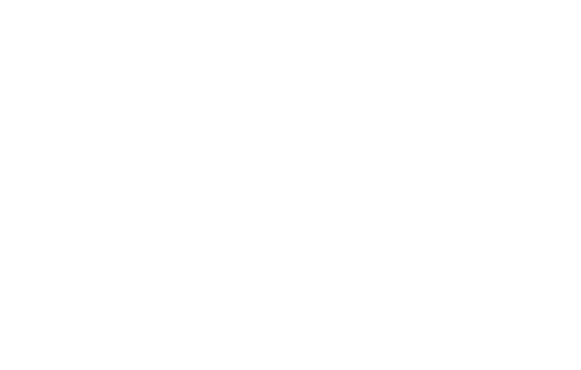 ACEIPOL